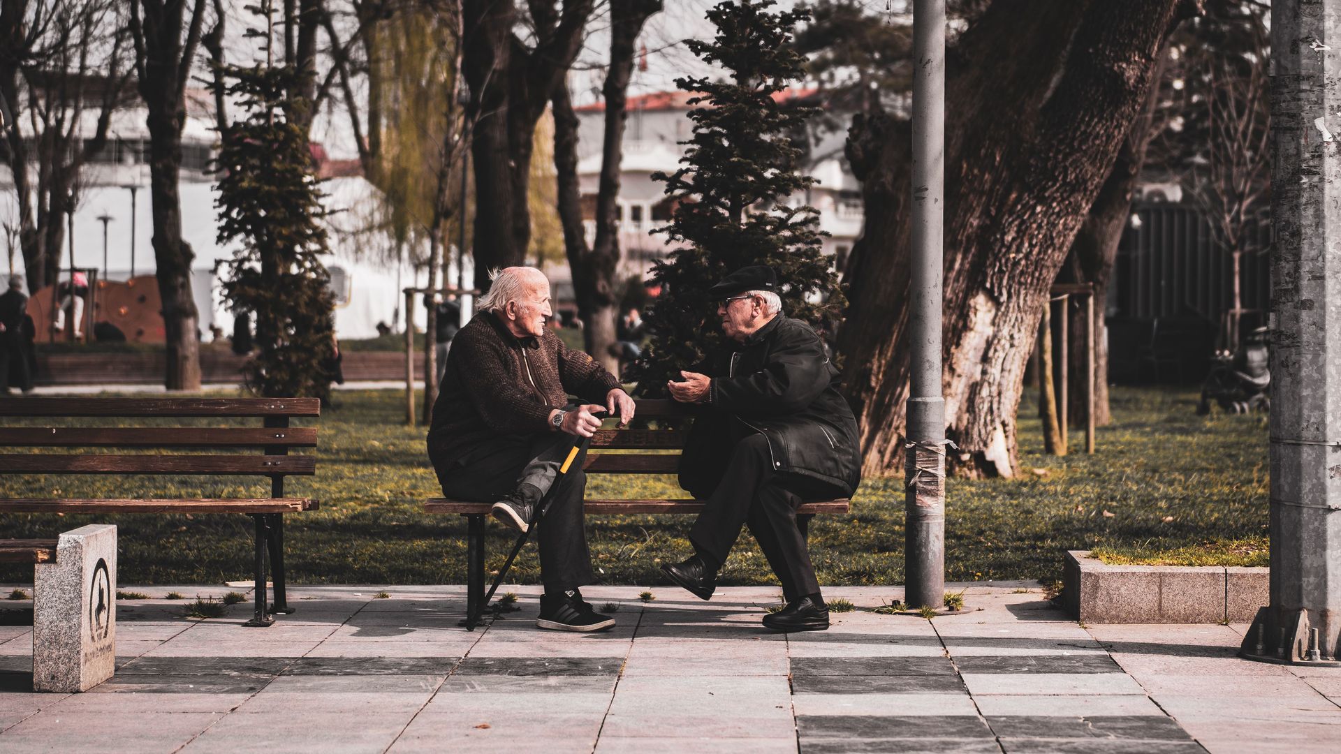 Two senior men chatting on a park bench surrounded by trees in an urban setting.